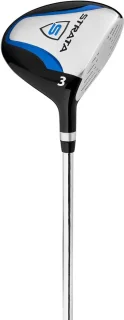 12-delige heren golfset