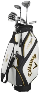 Golfset Heren - 10-delige Set met Tas