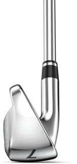 IJzeren golfset 5-PW+GW Grafiet