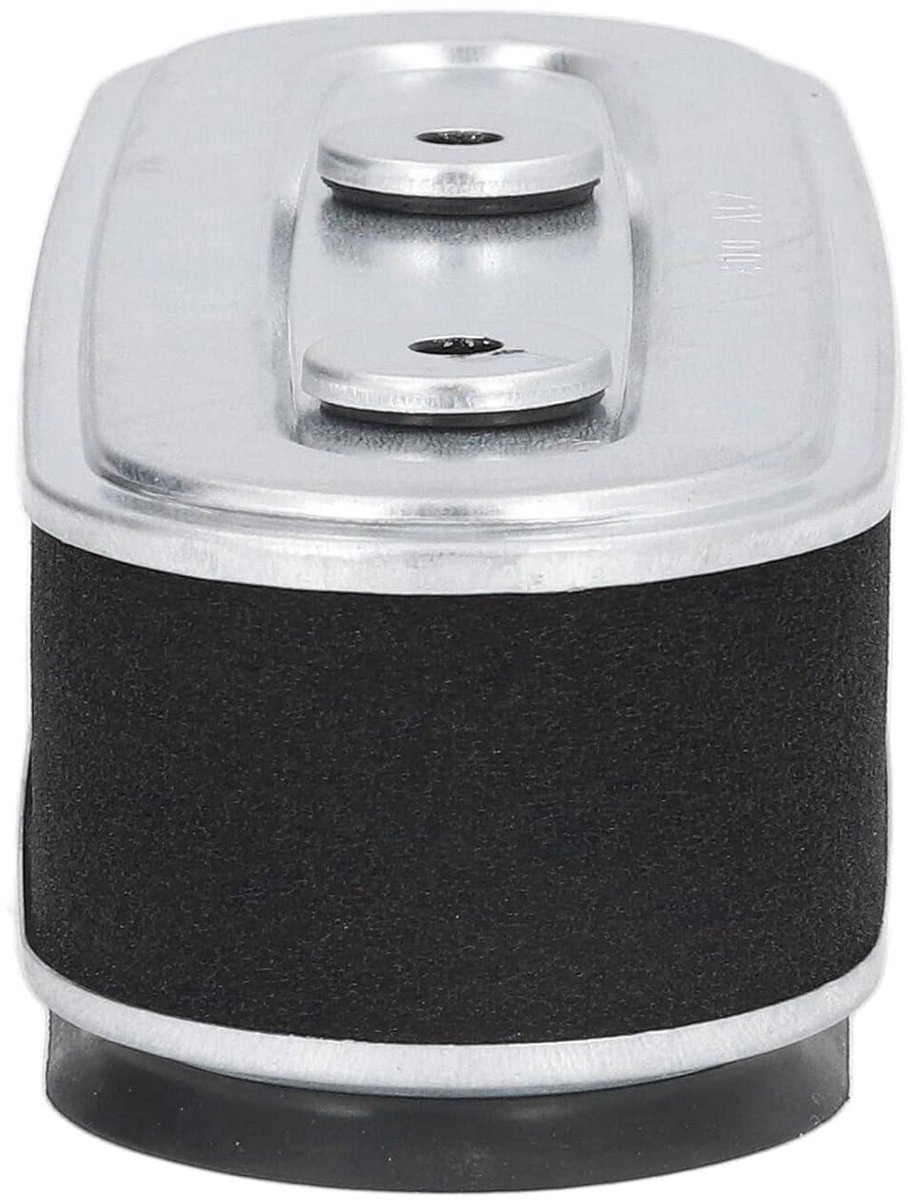 Allecto Plus Grasmaaier Luchtfilter Vervanging Delta 1804 GXV160