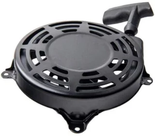 Briggs & Stratton 497680 repeteerstarter