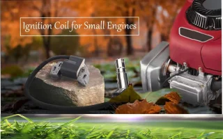 Briggs & Stratton Anker Magneetontstekingsspoel 33-347798212799650