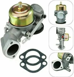 Briggs & Stratton Carburateur 491026/281707/491031 (12 pk) review