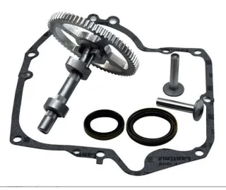 Briggs & Stratton Nokkenasset
