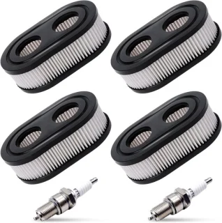 Briggs & Stratton Vervangingsluchtfilter (4 stuks)