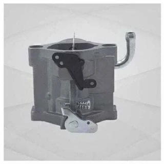 Carburateur geschikt voor grasmaaier 590399, geschikt voor Briggs & Stratton 590399 796077, geschikt voor Nikki 799245, geschikt voor 21A707 21A977, inclusief pakking en brandstofleiding.