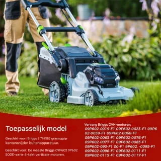 Carburateur Luchtfilter voor Briggs & Stratton Grasmaaiermotor 799583 591160 593261 591110