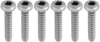 Dailygoods bevestigingsschroeven 4,8 x 25mm 6 stuks roestvrij staal