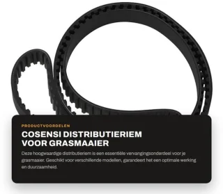Dailygoods distributieriem 20 mm