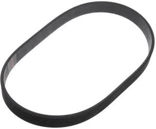 Dailygoods distributieriem 490mm