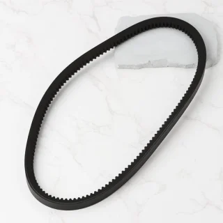 Dailygoods gras maaier v-riem 48175