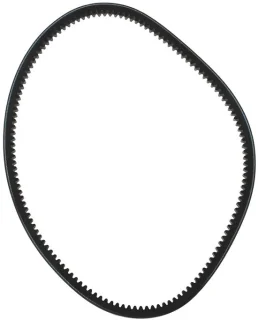 Dailygoods grasmaaier v-riem 48175