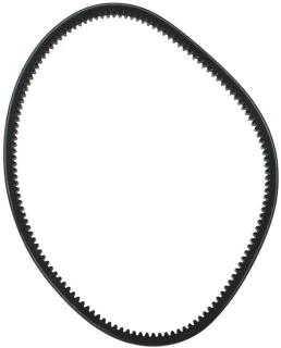 Dailygoods grasmaaier v-riem 48175