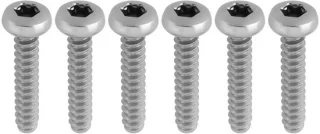 Dailygoods schroeven 4,8 x 25mm 6 stuks roestvrij staal