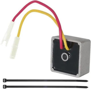 Dailygoods - Spanningsregelaar vervanging voor B S 491546