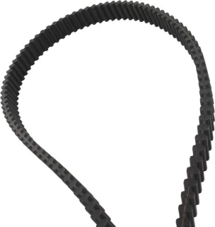Dubbele tandriem 1800 x 25 mm Zwart