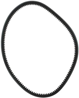 Grasmaaier V-riem 48175