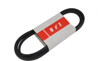 Grasmaaier V-riem