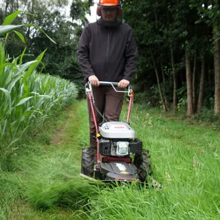 Hecht 5060 hooggrasmaaier 60 cm