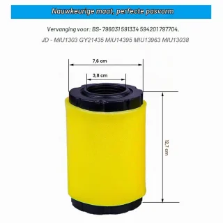 Luchtfilter met brandstoffilter voor B&S 591334, 594201, 797704, 31A507 en 31A607