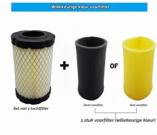 Luchtfilter met brandstoffilter voor B&S grasmaaier
