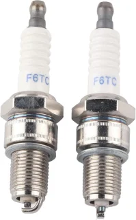 ServiceTopper grasmaaierbougie F6RTC, 2 stuks