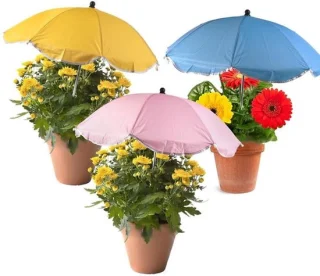 Set van 3 plantenparaplu's