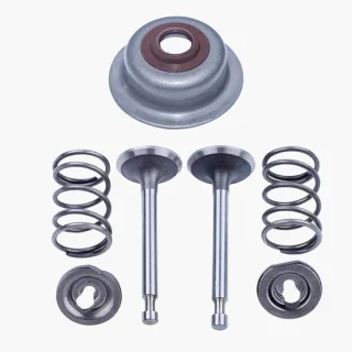 Set van 4 inlaat- en uitlaatventielen voor Honda GX160 en GX200