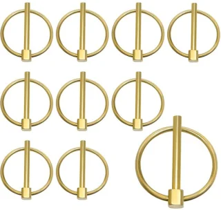 SnelShoppen - 10 stuks agrarische pennen, trailer beveiligingspennen en ronde clips