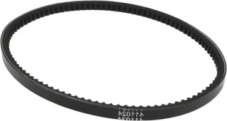 Variator V-riem