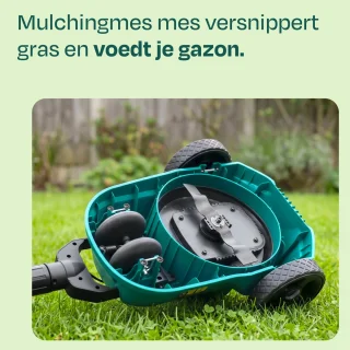 Conclusie
