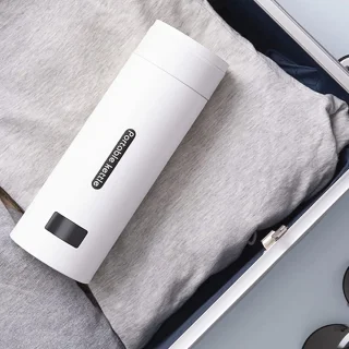 Elektrische Draagbare Waterkoker Mini Thermostaat