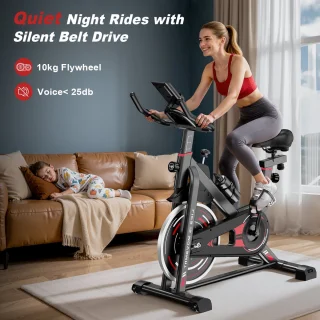 Hometrainers - Fitnessfiets voor binnenshuis met vliegwiel van 10 kg - LCD-scherm - Verstelbare stoel en armleuningen - Draagvermogen 120 kg