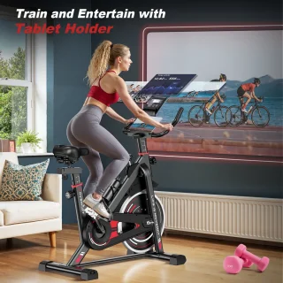 Hometrainers - Fitnessfiets voor binnenshuis met vliegwiel van 10 kg - LCD-scherm - Verstelbare stoel en armleuningen - Draagvermogen 120 kg