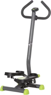 Fitness Swing Stepper