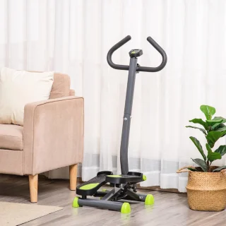 Fitness Swing Stepper