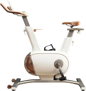 Hometrainer Dubbel Vliegwiel 10 kg