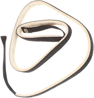 Hometrainer riem