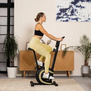 Hop-Sport Hometrainer HS-015H - Goud