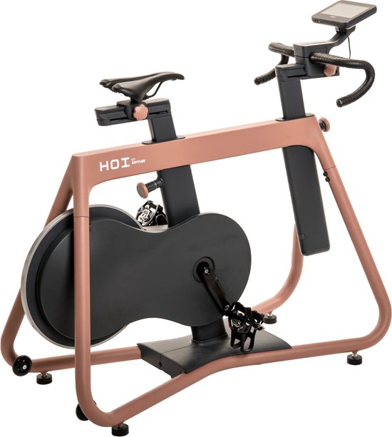 Kettler HOI Frame Indoor Bike Terracotta review