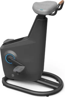 LifeSpan Ampera Space Gray