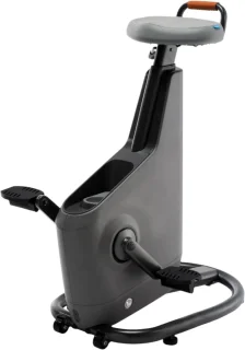 LifeSpan Ampera Space Gray