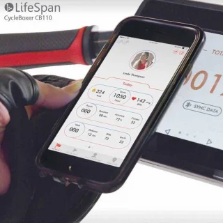 LifeSpan Fitness Cycle Boxer CB110 Hometrainer