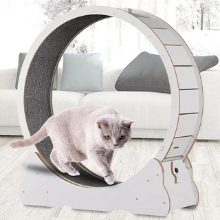 Loopwiel voor Katten 96 cm - Wit