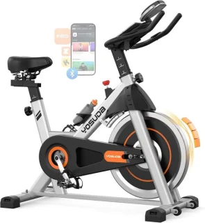 Magnetische hometrainer