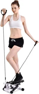 Mini stepper fitness trainer