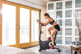 Schwinn 510U Hometrainer
