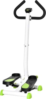 Stepper fitness swing