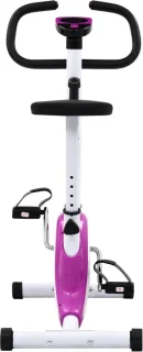 The Living Store Hometrainer paars