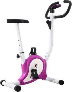 vidaXL Hometrainer Paars